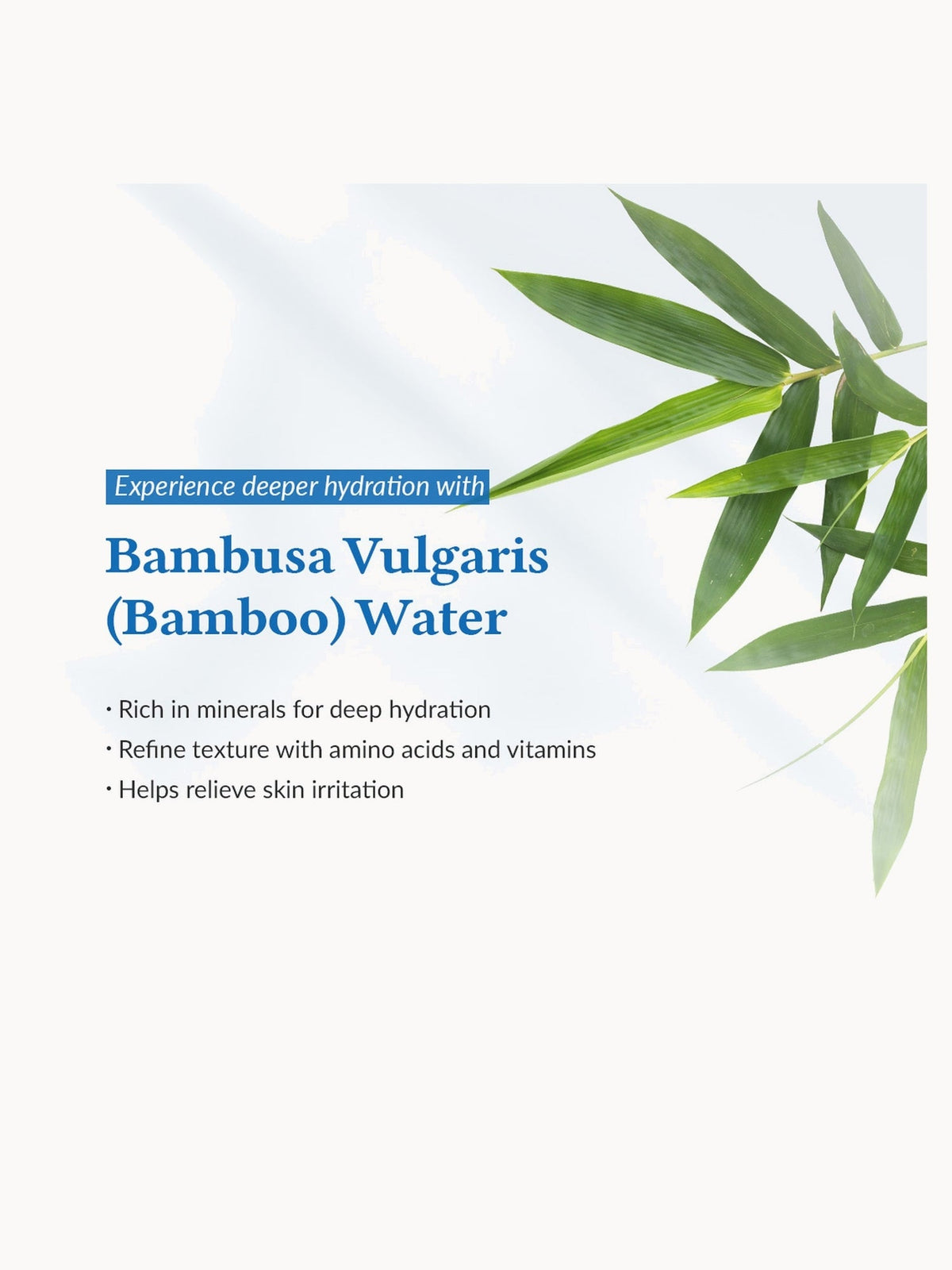 Dr.Althea Aqua Marine Watery Cream : eau de bambou Bambusa Vulgaris